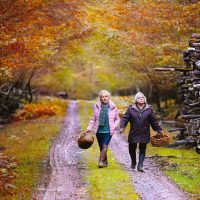 秋が来るとき　2024　フランソワ・オゾン