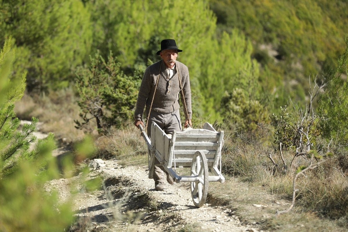 シュヴァルの理想宮 ある郵便配達員の夢 2018 ニルス・タヴェルニエ