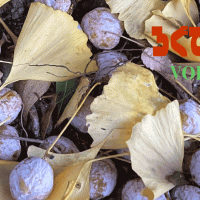 ロピュマガジン【ろぐでなし】vol.46 冬支度