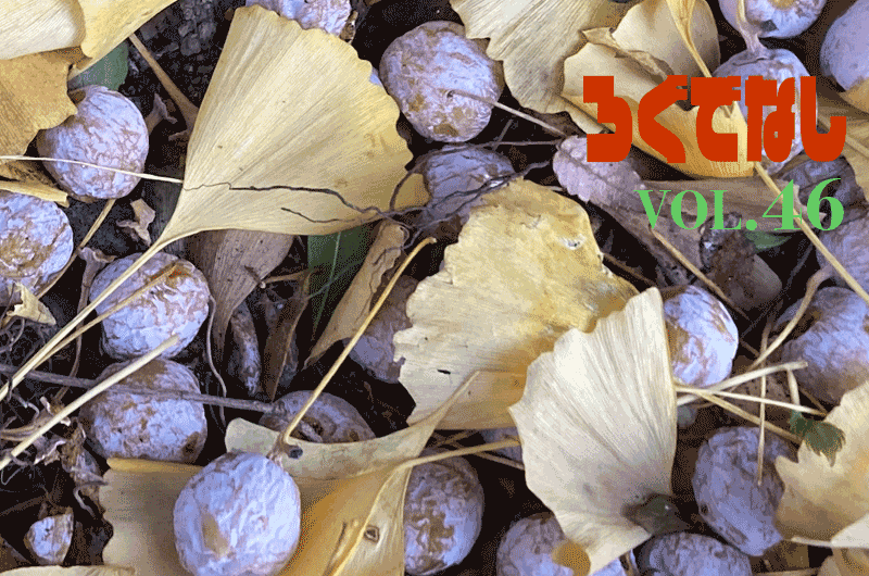 ロピュマガジン【ろぐでなし】vol.46 冬支度