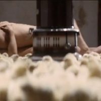 OL官能日記 あァ!私の中で 1977 小沼勝